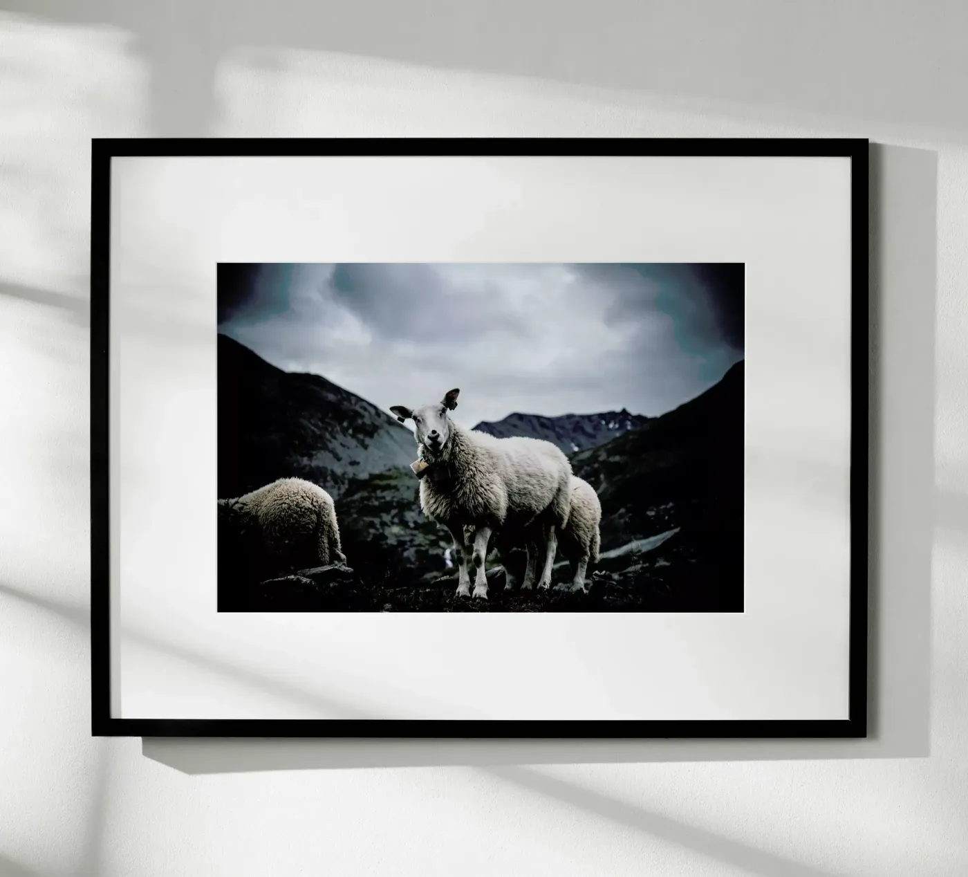 Sheep 2 poster by Chris Abatzis