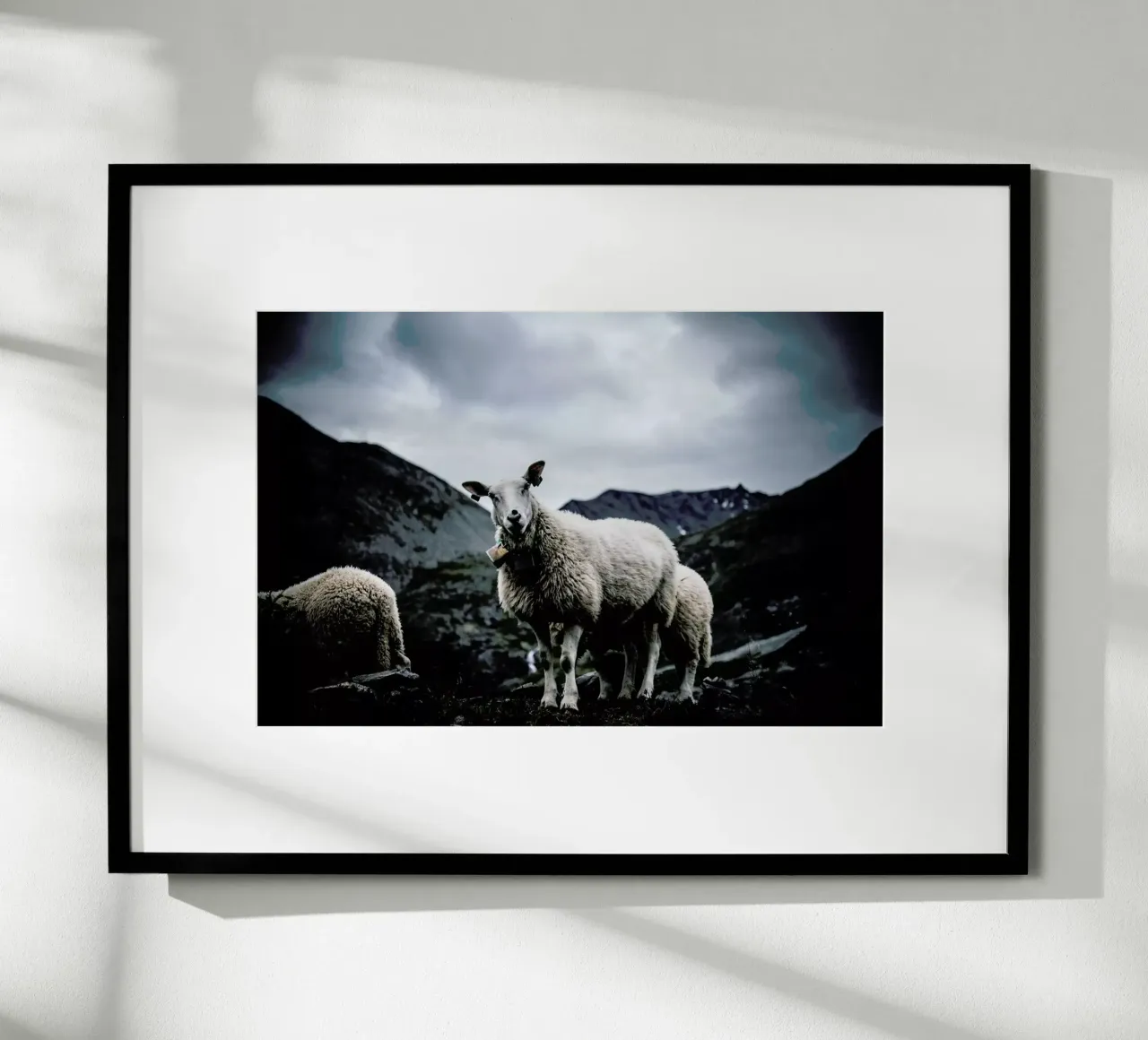 Sheep 2 poster da Chris Abatzis