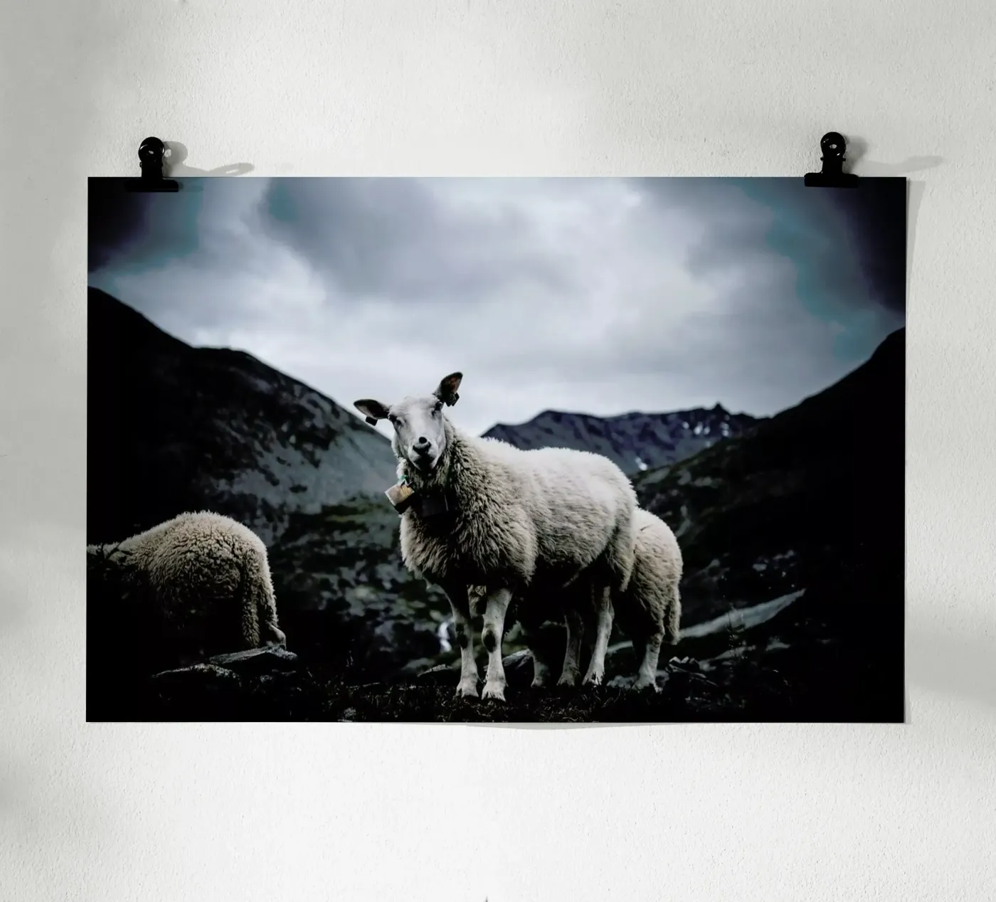 Sheep 2 poster by Chris Abatzis