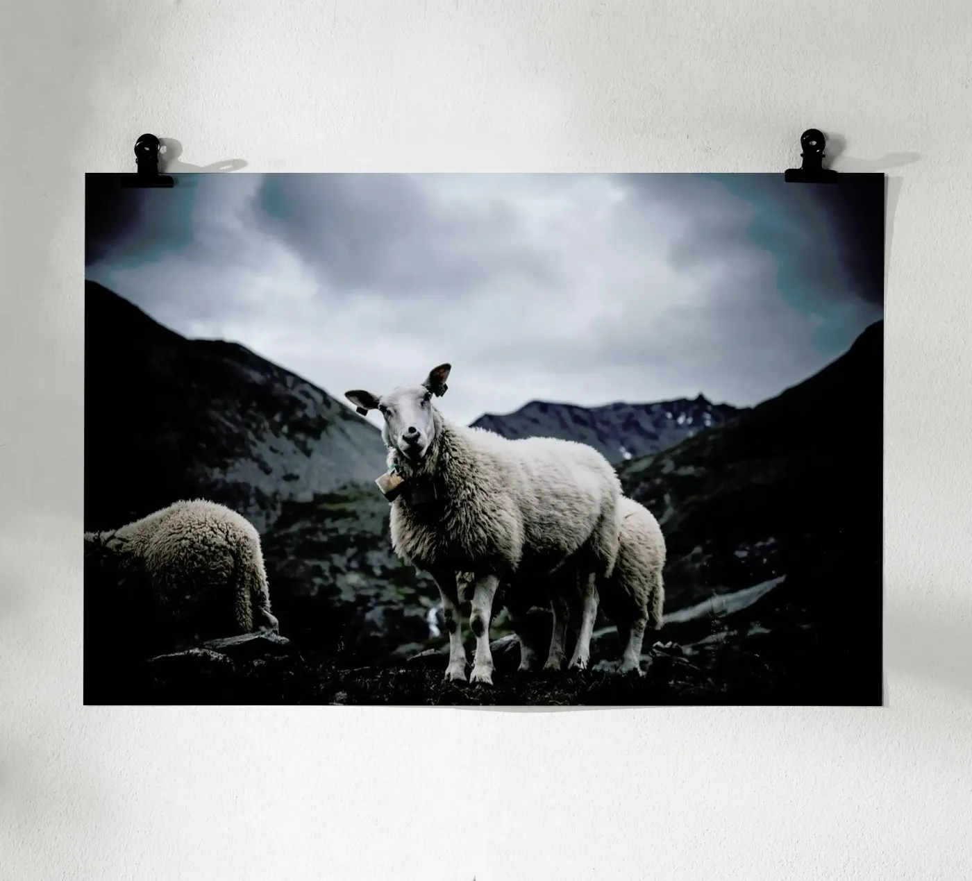 Sheep 2 poster da Chris Abatzis