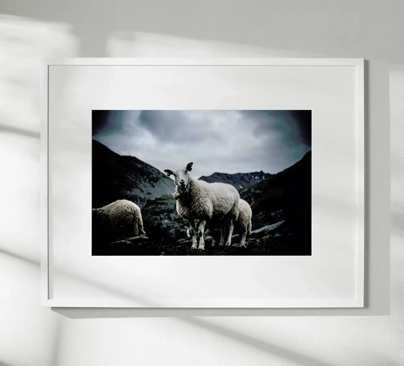 Sheep 2 poster by Chris Abatzis