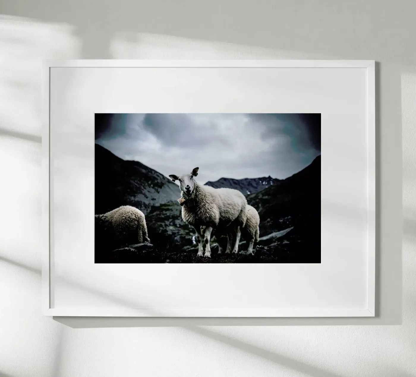 Sheep 2 poster da Chris Abatzis