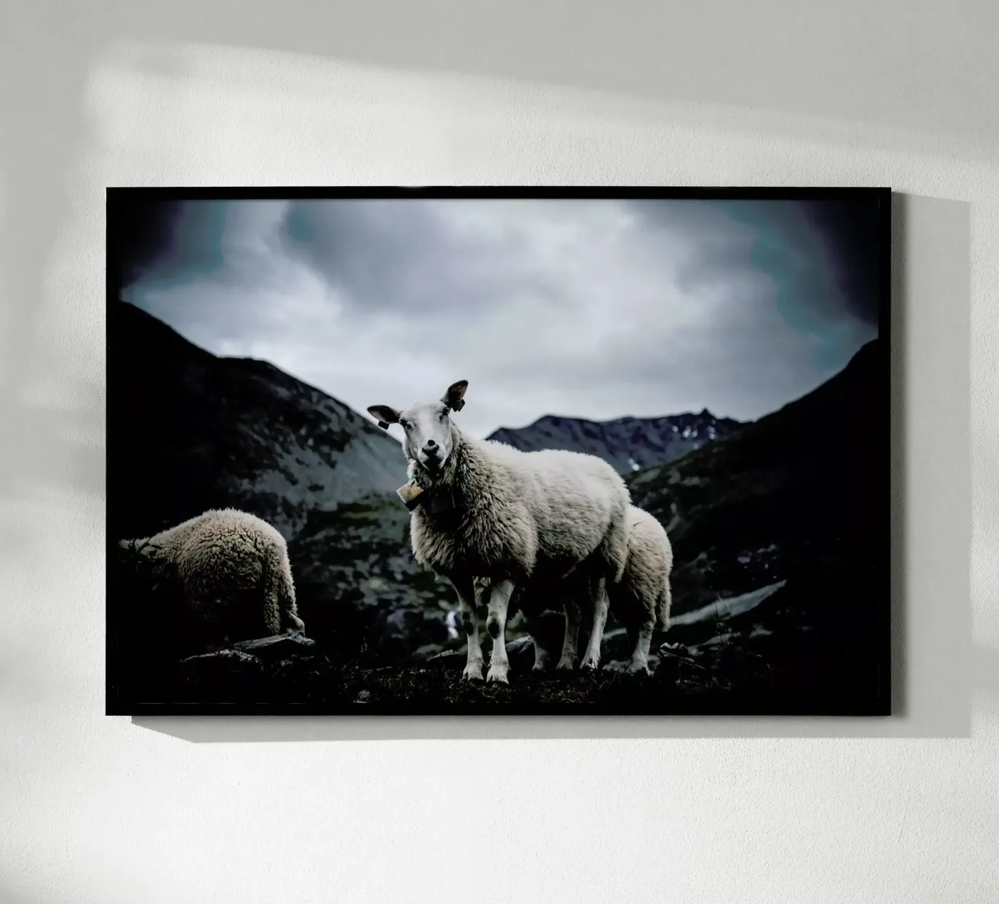 Sheep 2 poster by Chris Abatzis