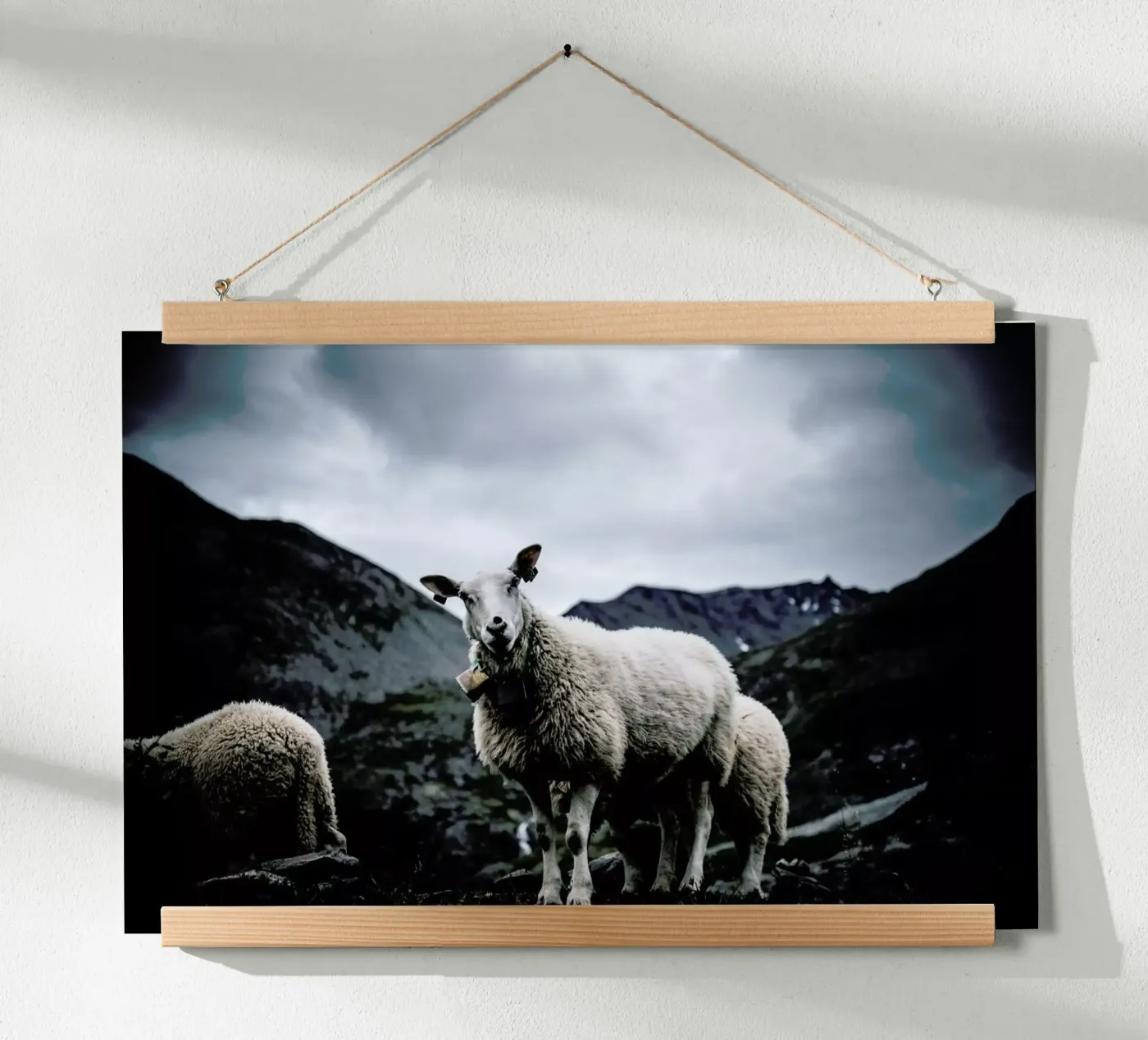 Sheep 2 poster by Chris Abatzis
