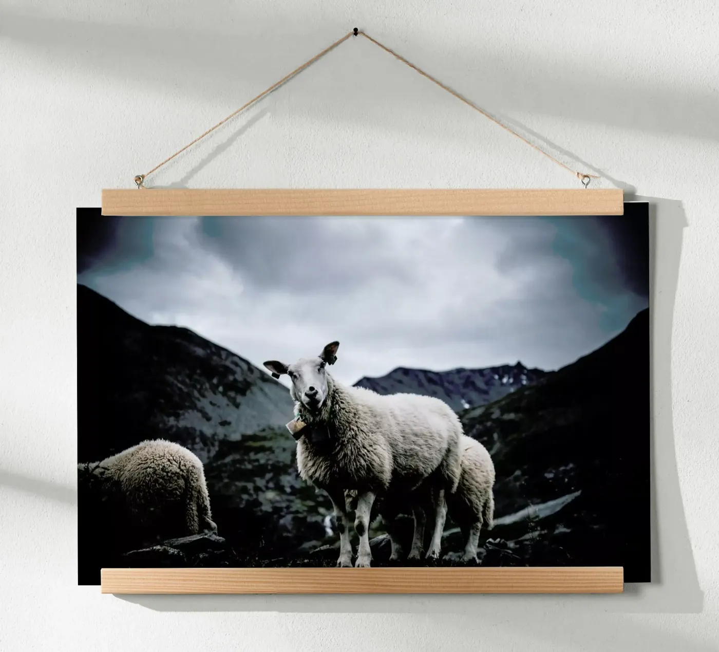 Sheep 2 poster da Chris Abatzis
