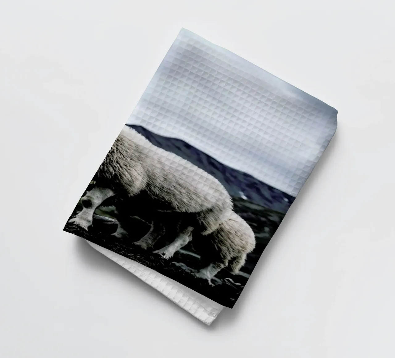 Sheep 2 canovaccio da cucina da Chris Abatzis