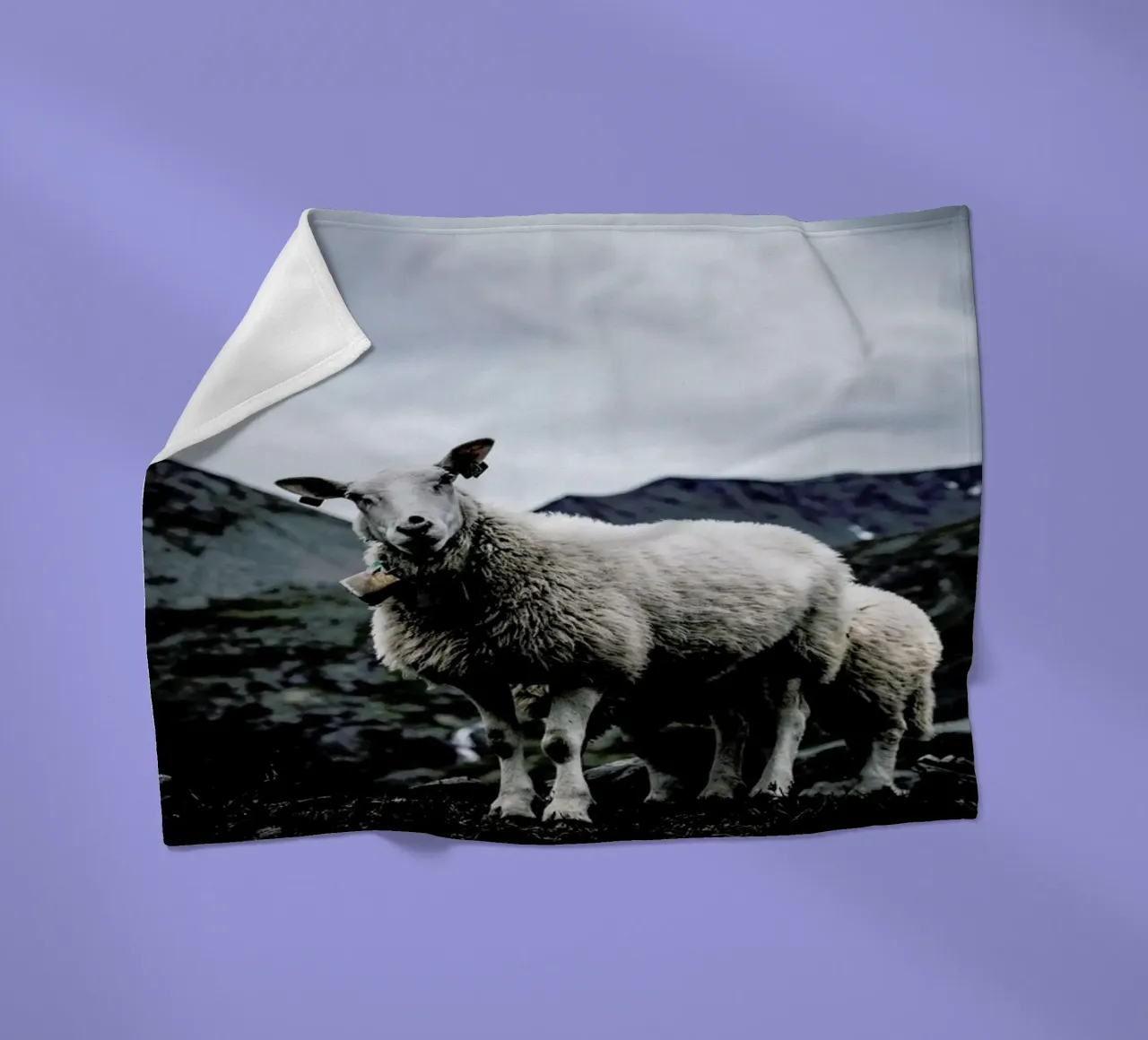 Sheep 2 coperta in pile da Chris Abatzis