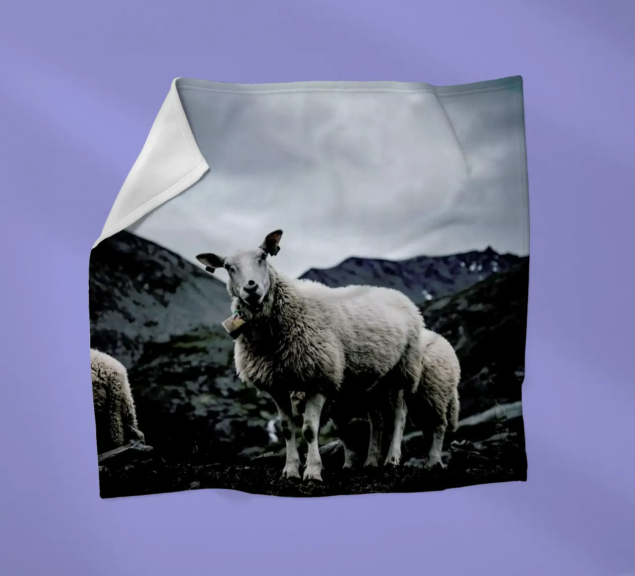 Sheep 2 coperta in pile da Chris Abatzis