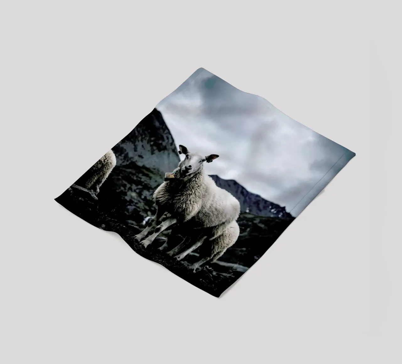 Sheep 2 coperta in pile da Chris Abatzis