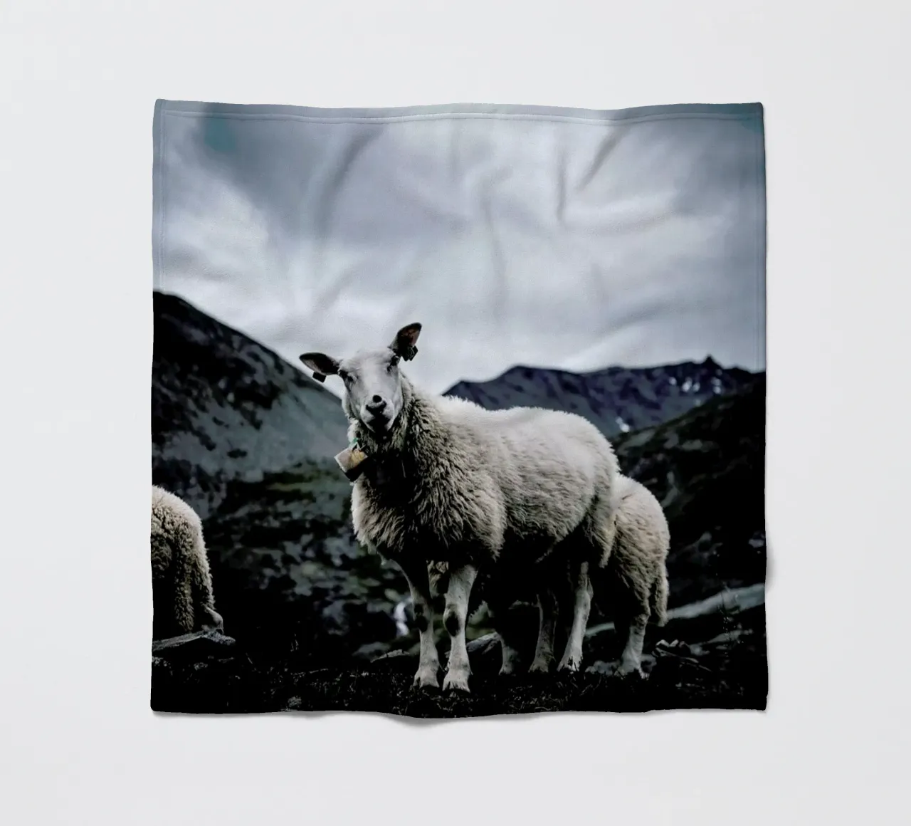 Sheep 2 coperta in pile da Chris Abatzis