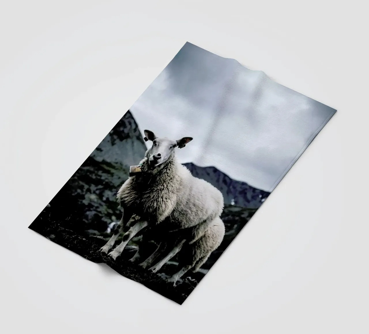 Sheep 2 coperta in pile da Chris Abatzis