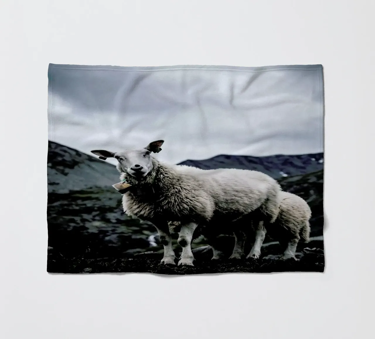 Sheep 2 coperta in pile da Chris Abatzis