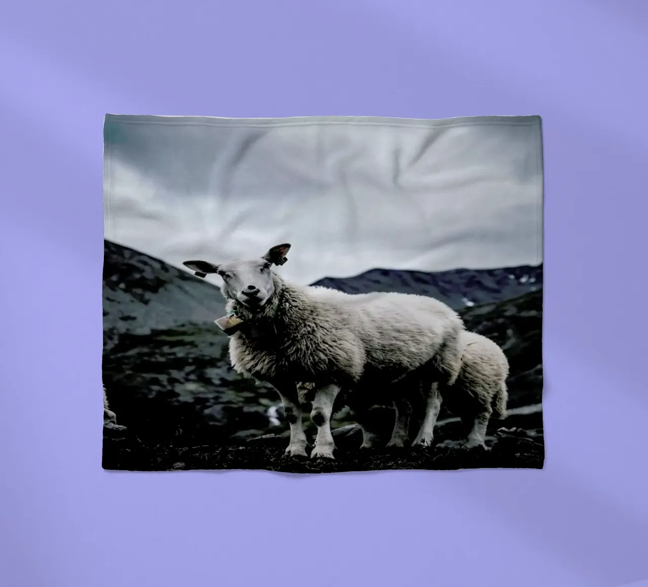 Sheep 2 coperta in pile da Chris Abatzis