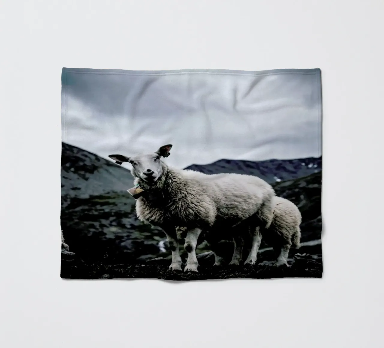 Sheep 2 coperta in pile da Chris Abatzis