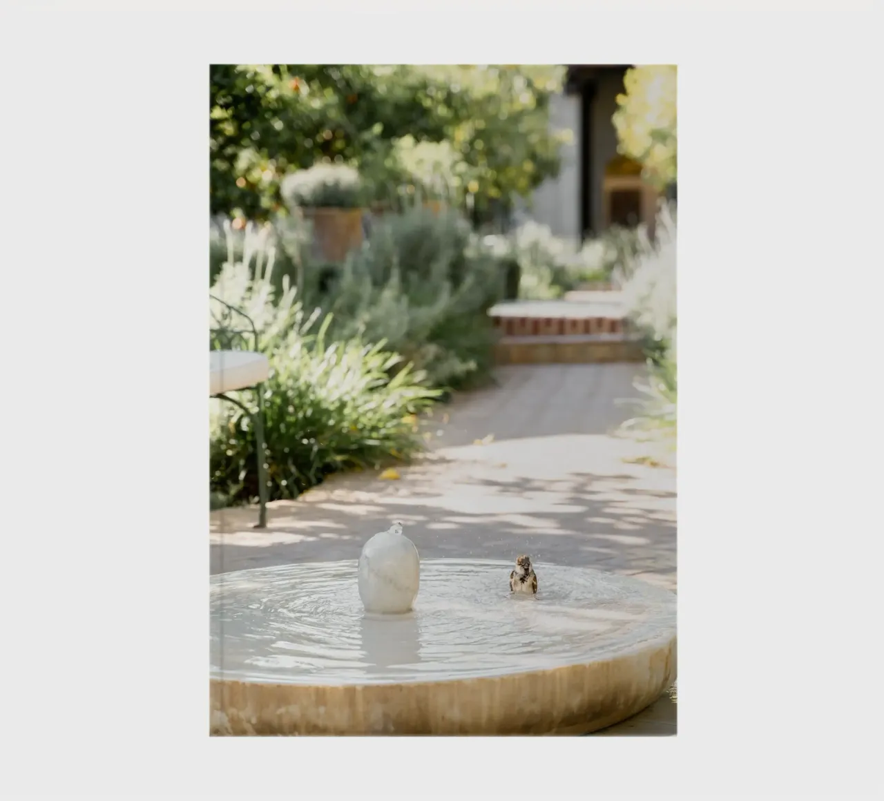 Feathers and Droplets notebook by Henrike Schenk Photography