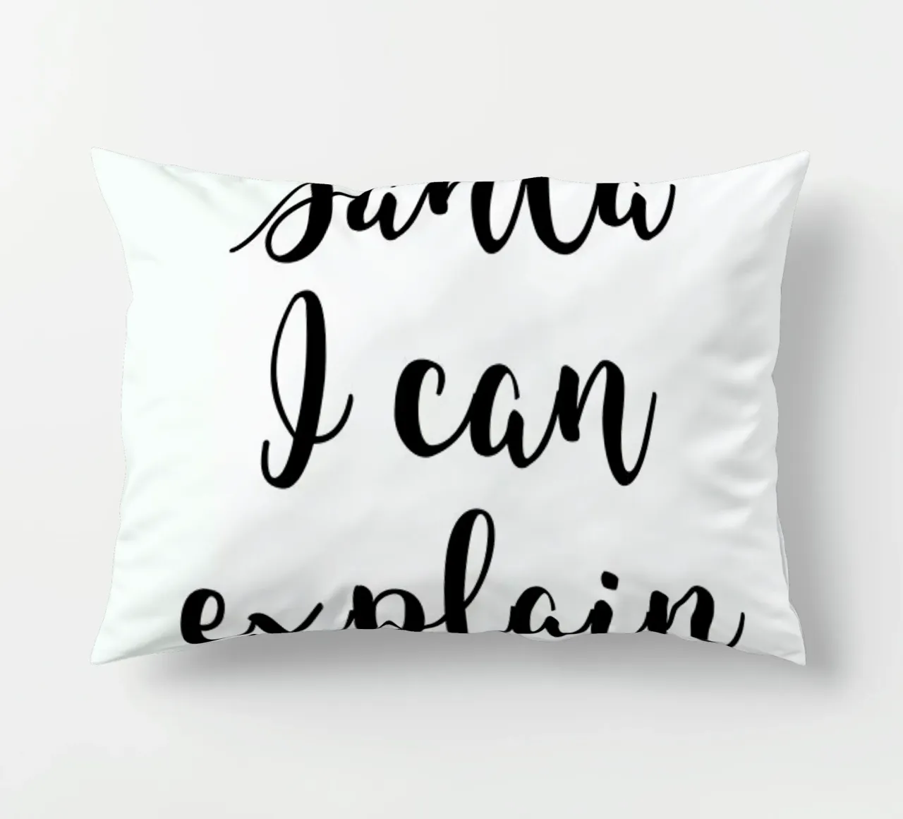 Santa I Can Explain cuscino da Studio One