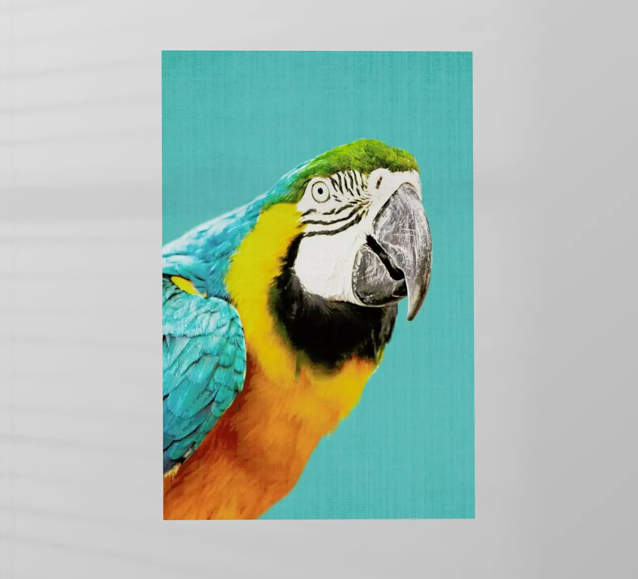 Print 143 pellicola backlit da Lila & Lola