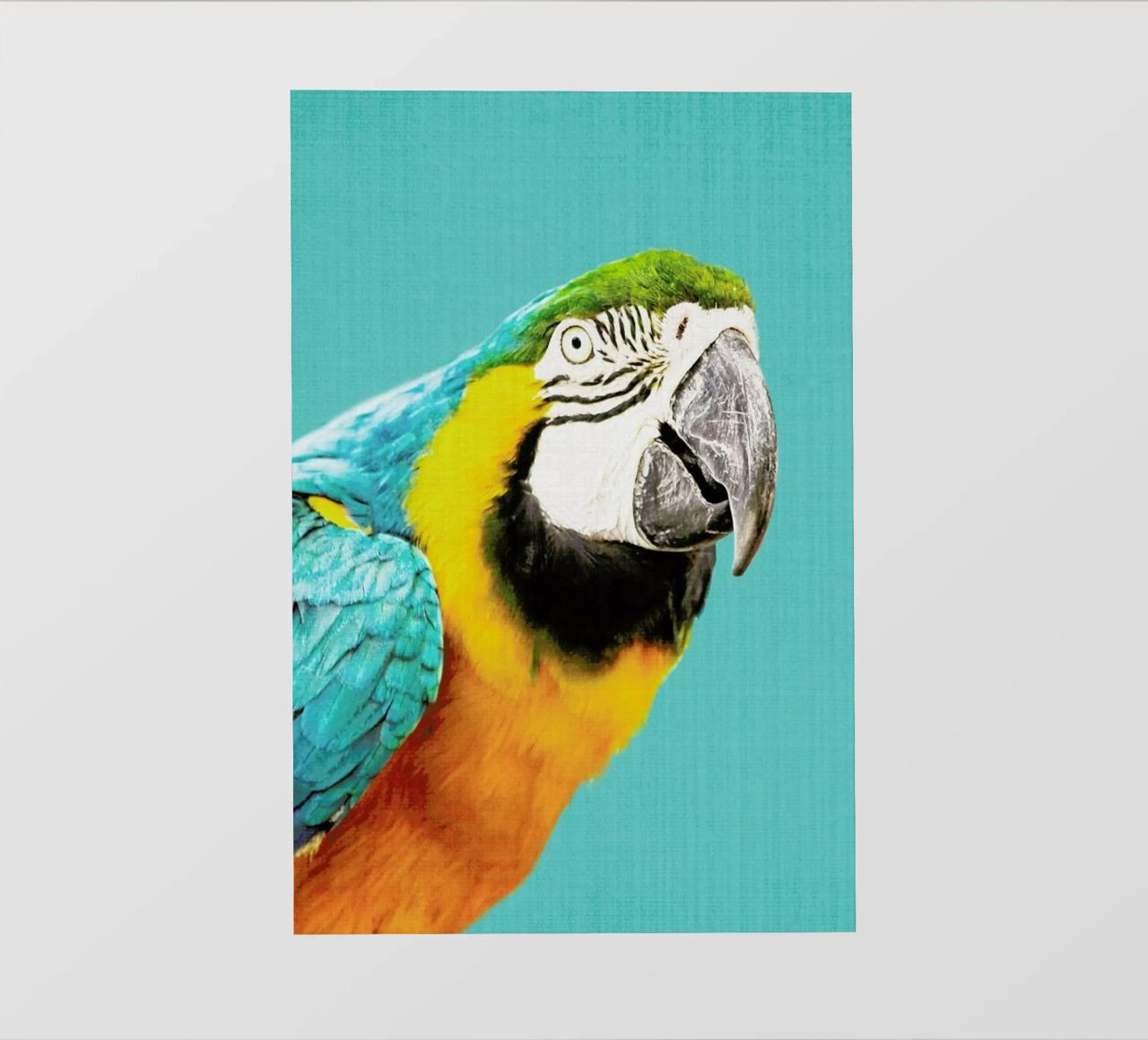 Print 143 pellicola backlit da Lila x Lola