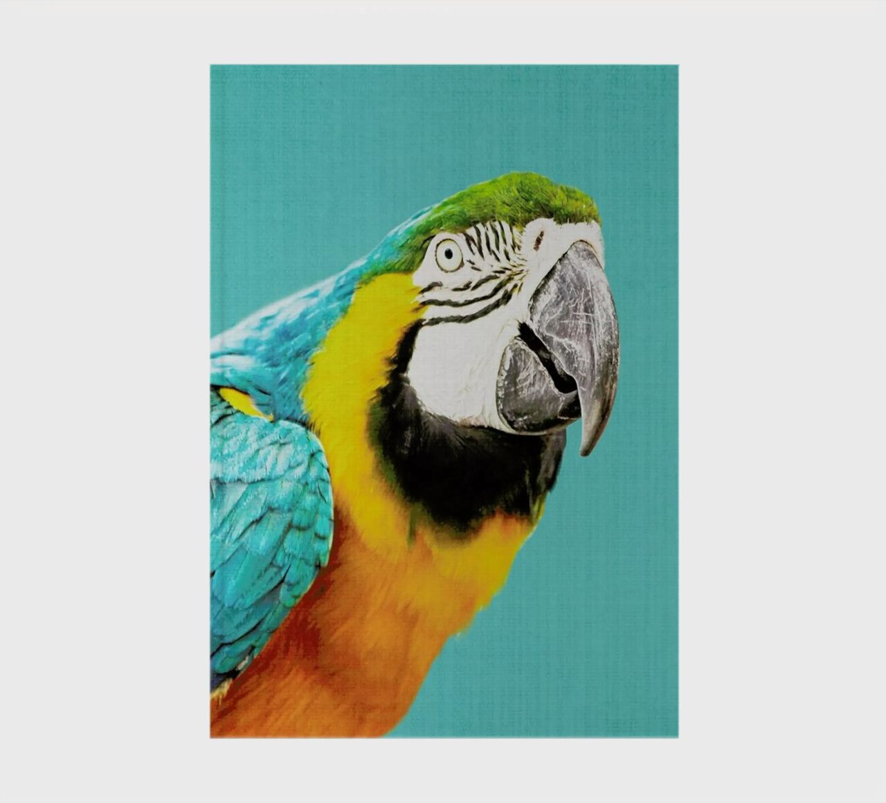 Print 143 notebook by Lila x Lola