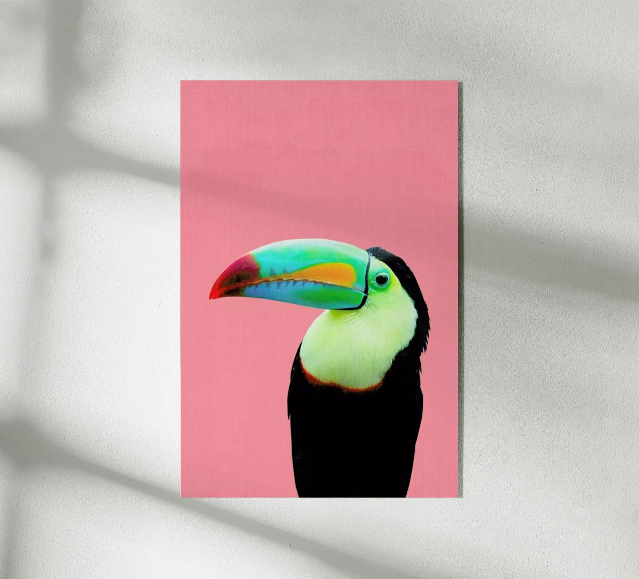 Print 145 plexiglass da Lila x Lola
