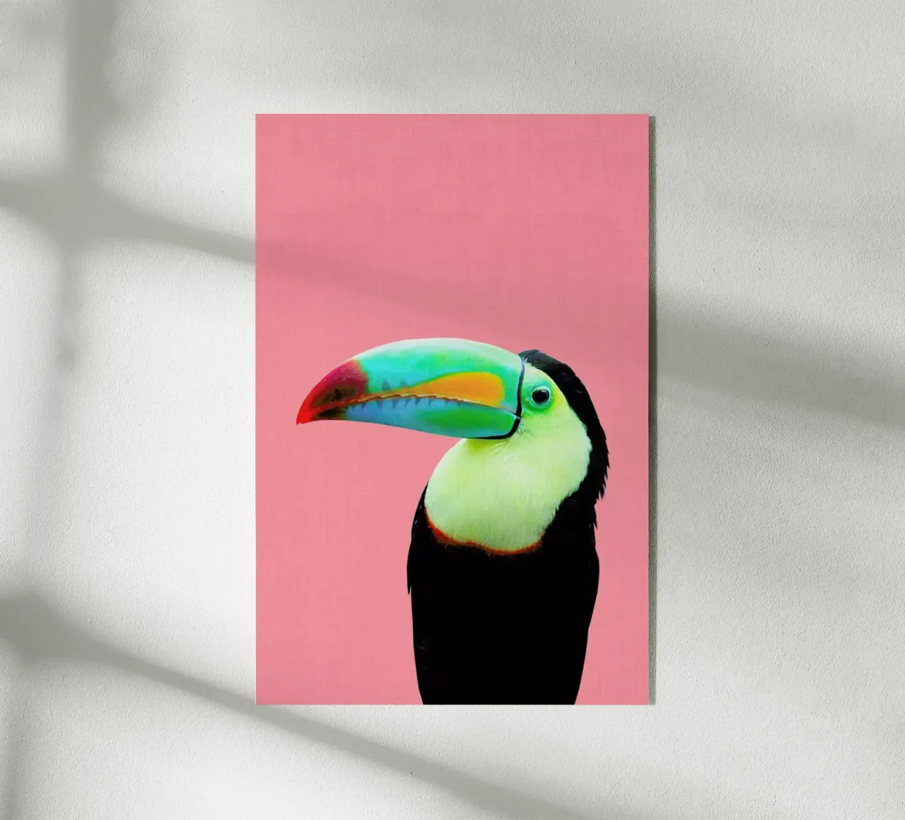 Print 145 plexiglass da Lila & Lola