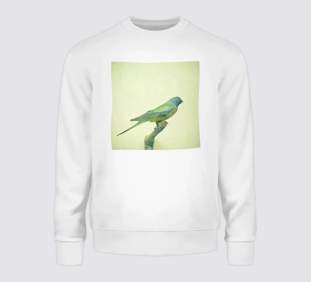 Studio degli uccelli #3 felpa da Cassia Beck Photography