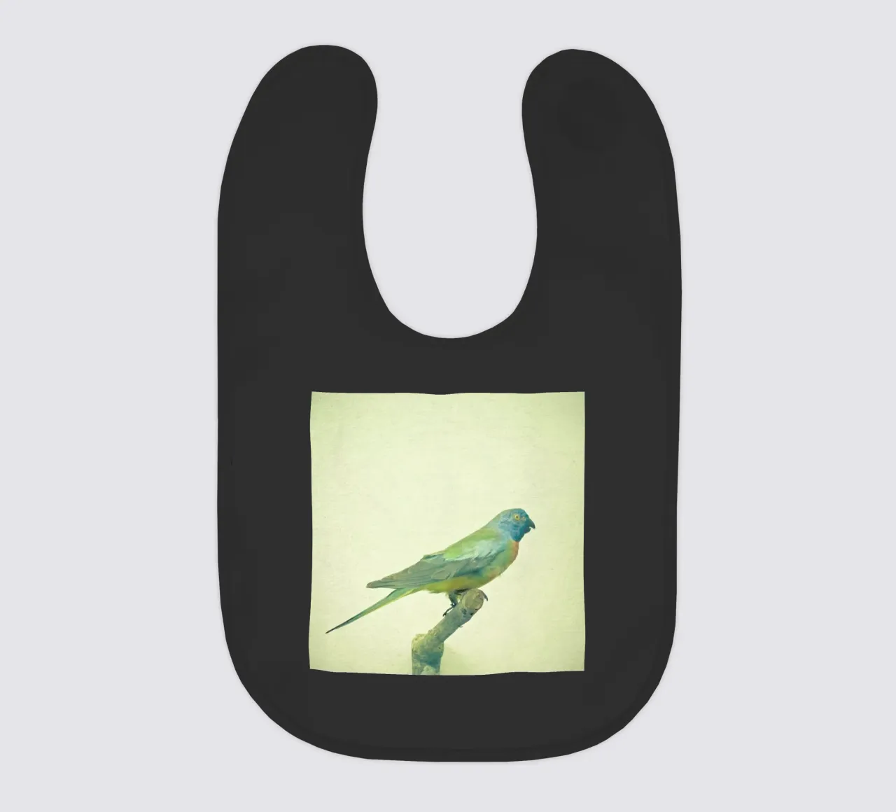 Bird study #3 Babylätzchen von Cassia Beck Photography