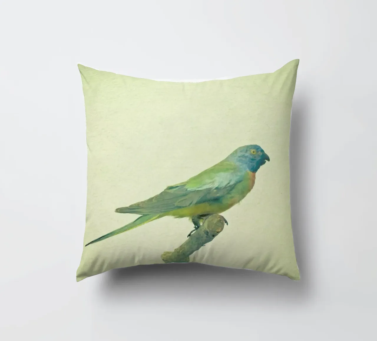 Studio degli uccelli #3 cuscino da Cassia Beck Photography