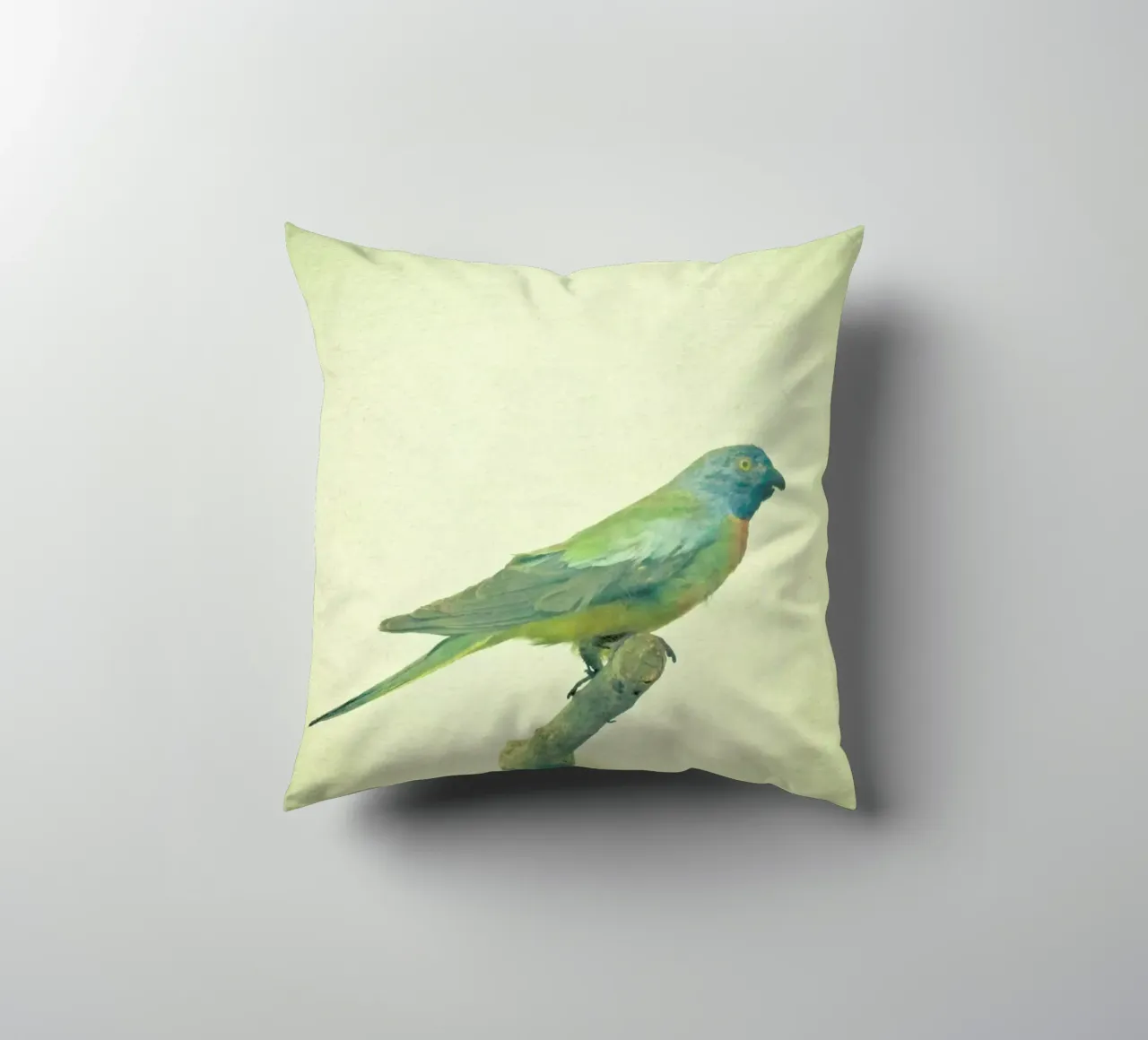 Studio degli uccelli #3 cuscino da Cassia Beck Photography