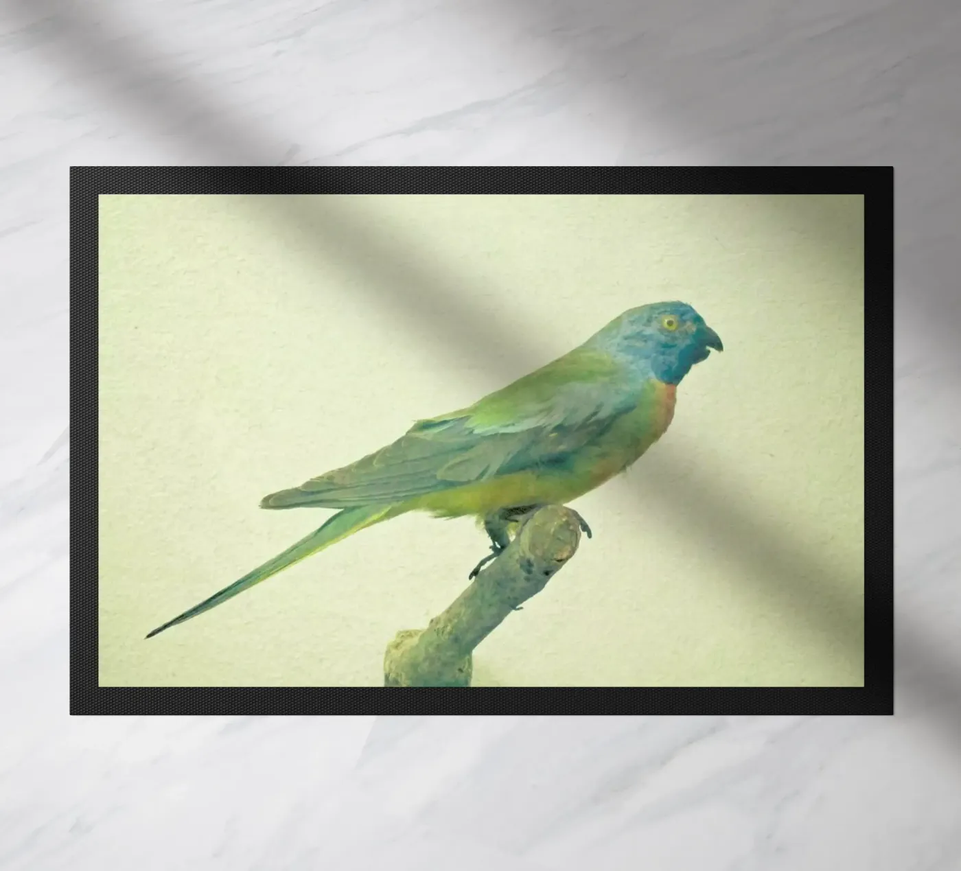 Bird study #3 doormat by Cassia Beck Photography