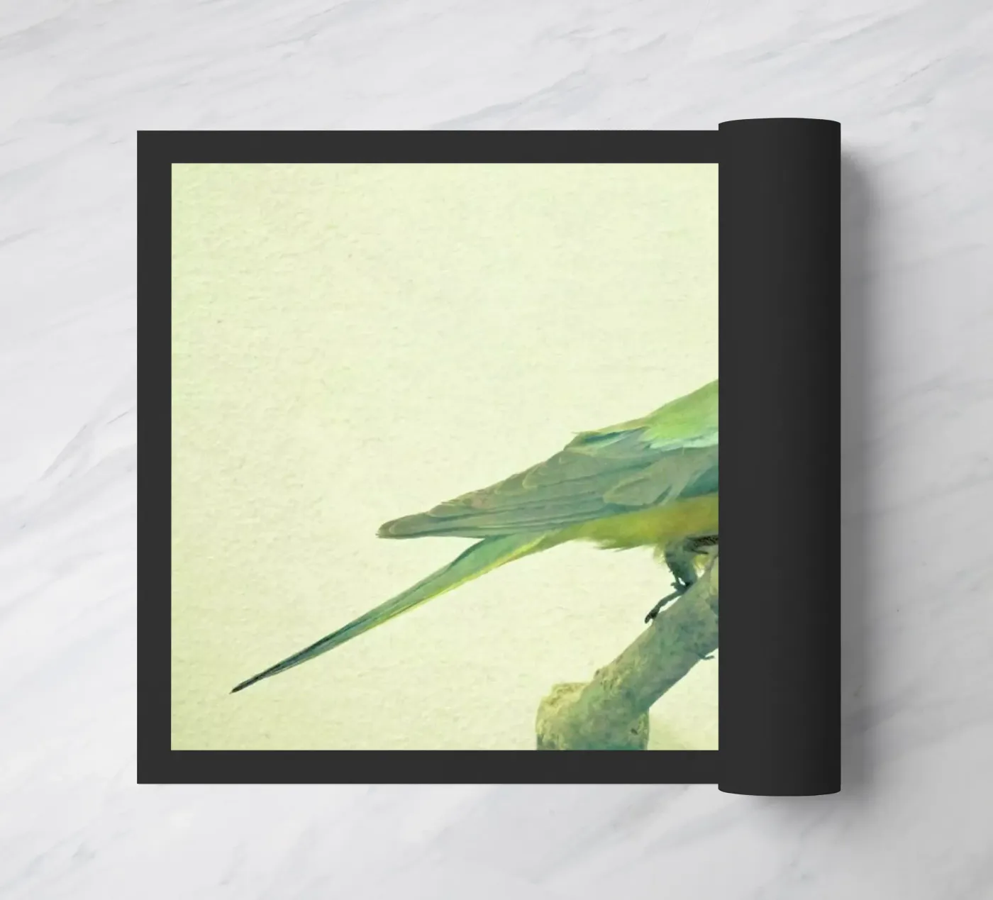 Bird study #3 doormat by Cassia Beck Photography