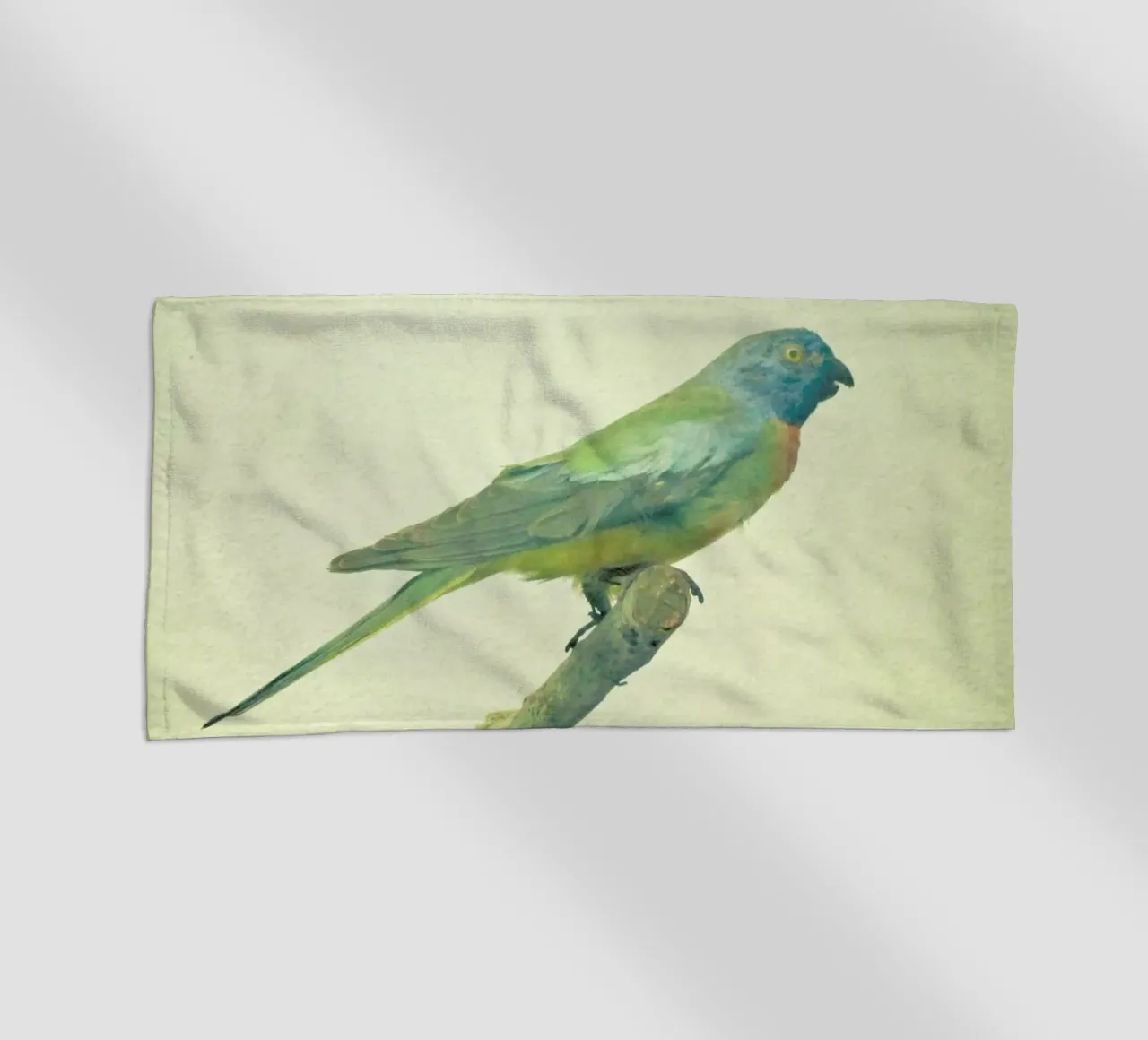 Bird study #3 telo mare da Cassia Beck Photography