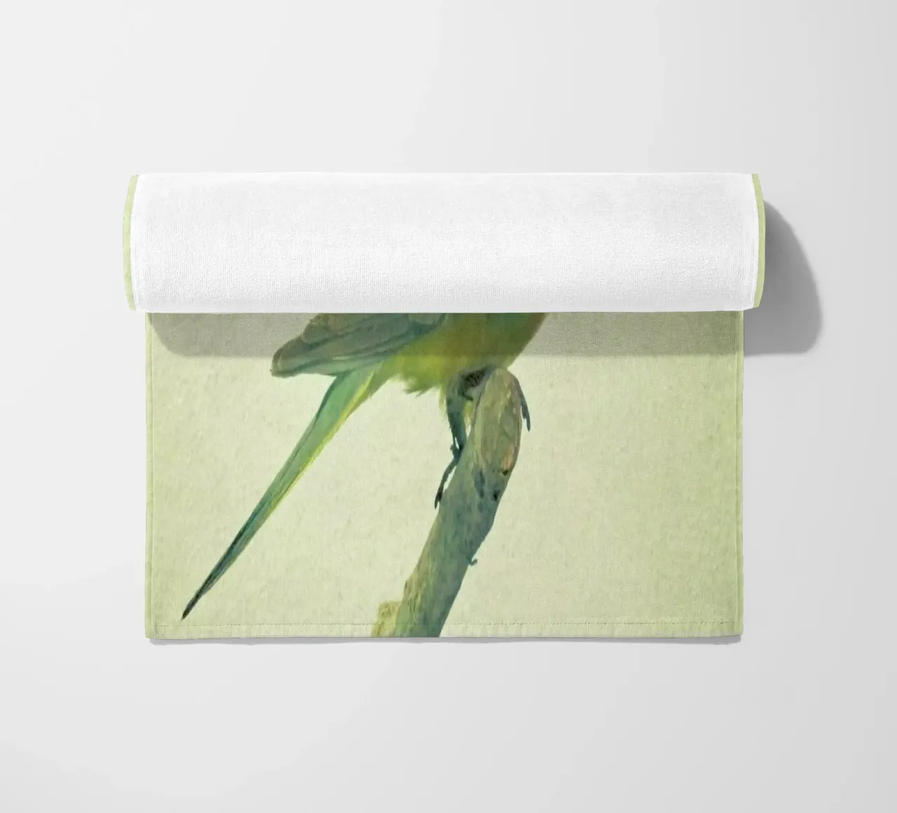 Bird study #3 telo mare da Cassia Beck Photography