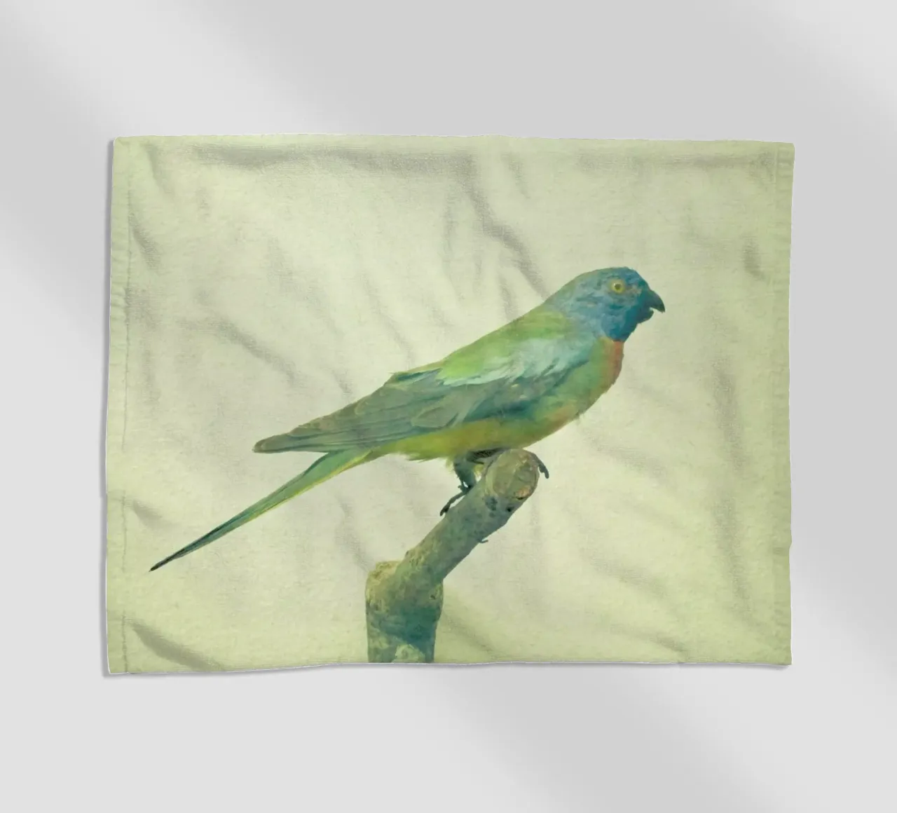 Bird study #3 telo mare da Cassia Beck Photography