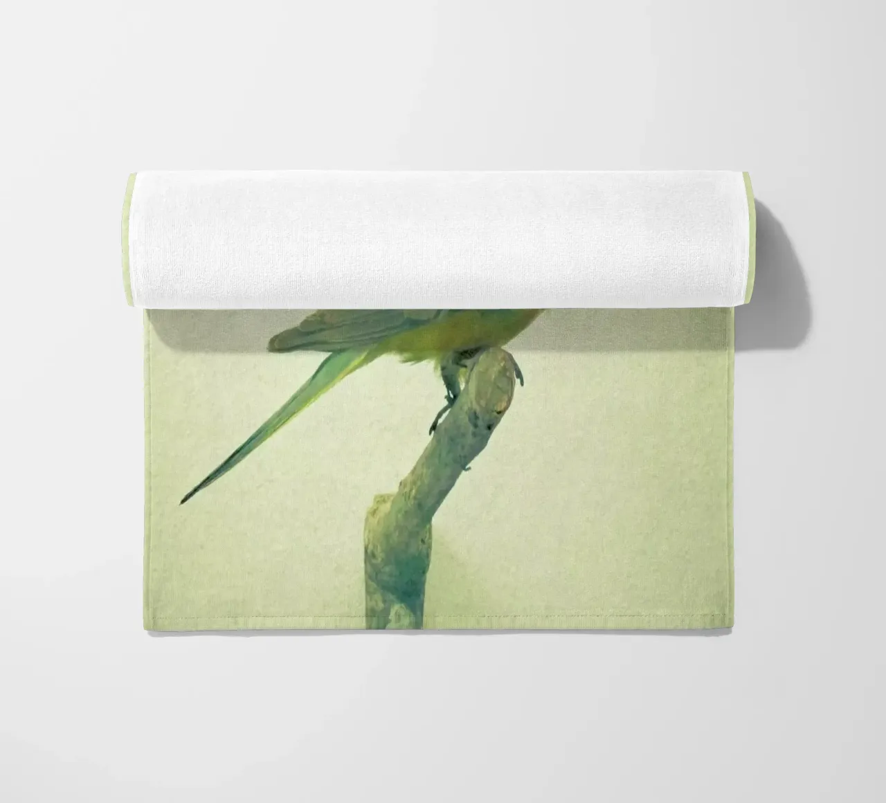 Bird study #3 telo mare da Cassia Beck Photography