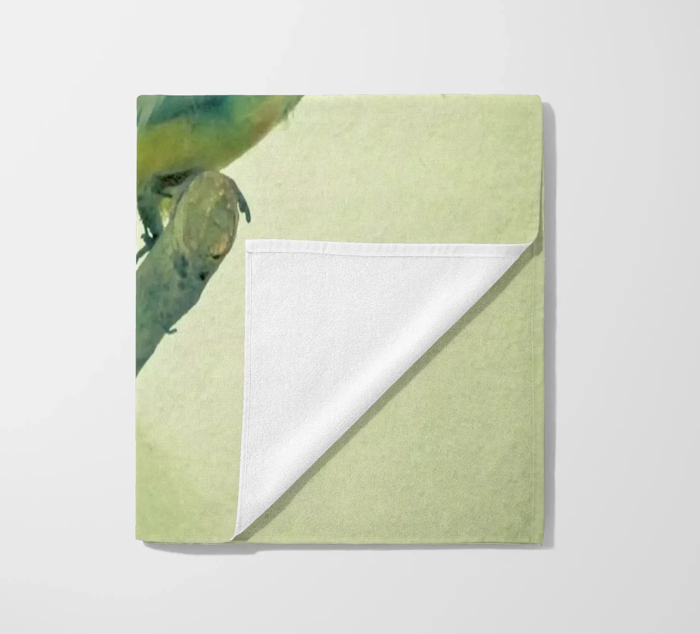 Vogelstudie #3 Strandtuch von Cassia Beck Photography