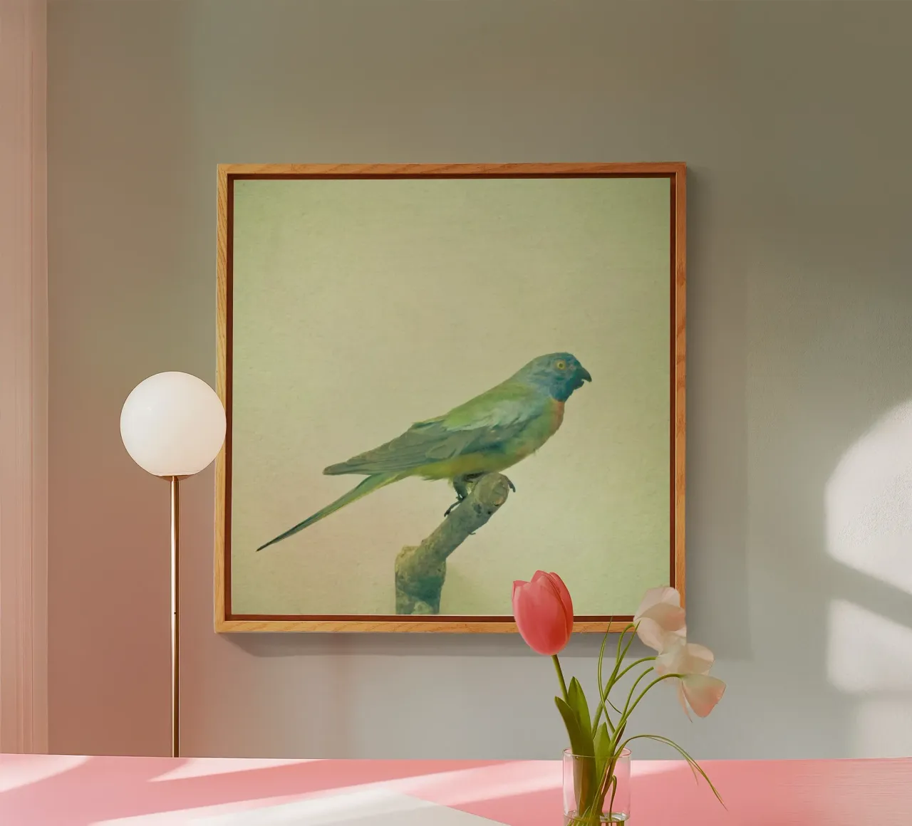 Studio degli uccelli #3 plexiglass da Cassia Beck Photography