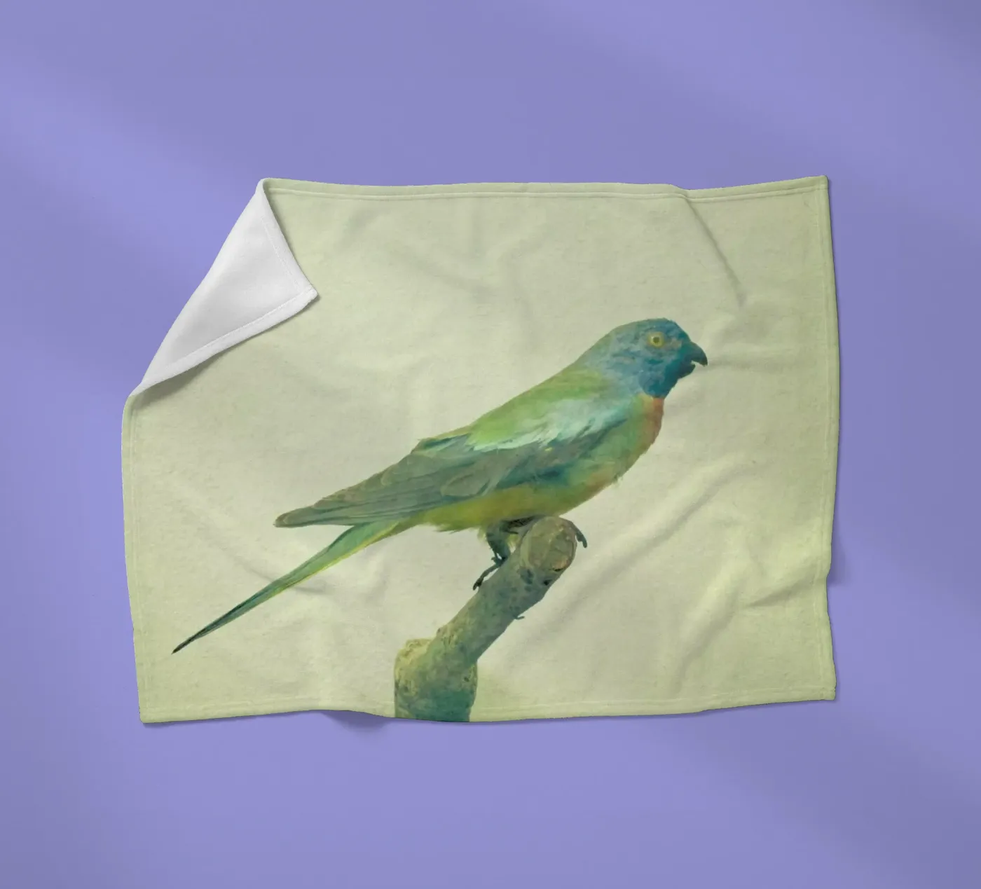 Bird study #3 fleece blanket by Cassia Beck Photography
