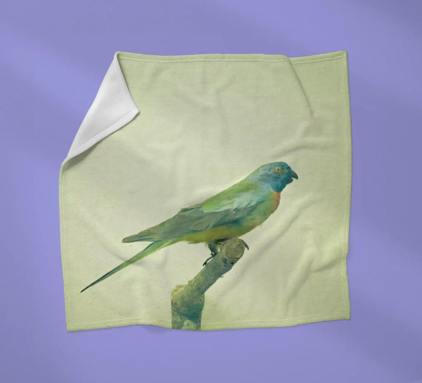 Bird study #3 fleece blanket by Cassia Beck Photography