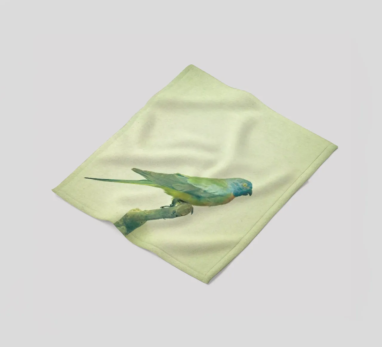 Studio degli uccelli #3 coperta in pile da Cassia Beck Photography