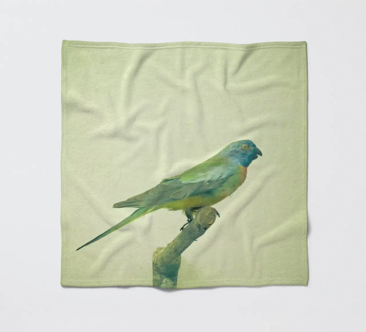 Studio degli uccelli #3 coperta in pile da Cassia Beck Photography