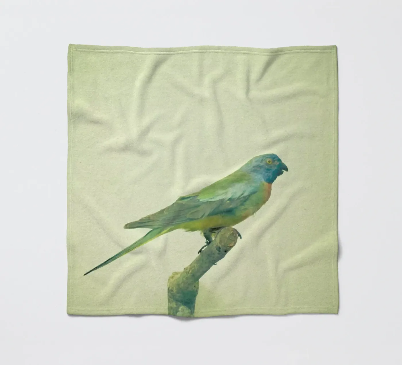 Bird study #3 fleece blanket by Cassia Beck Photography