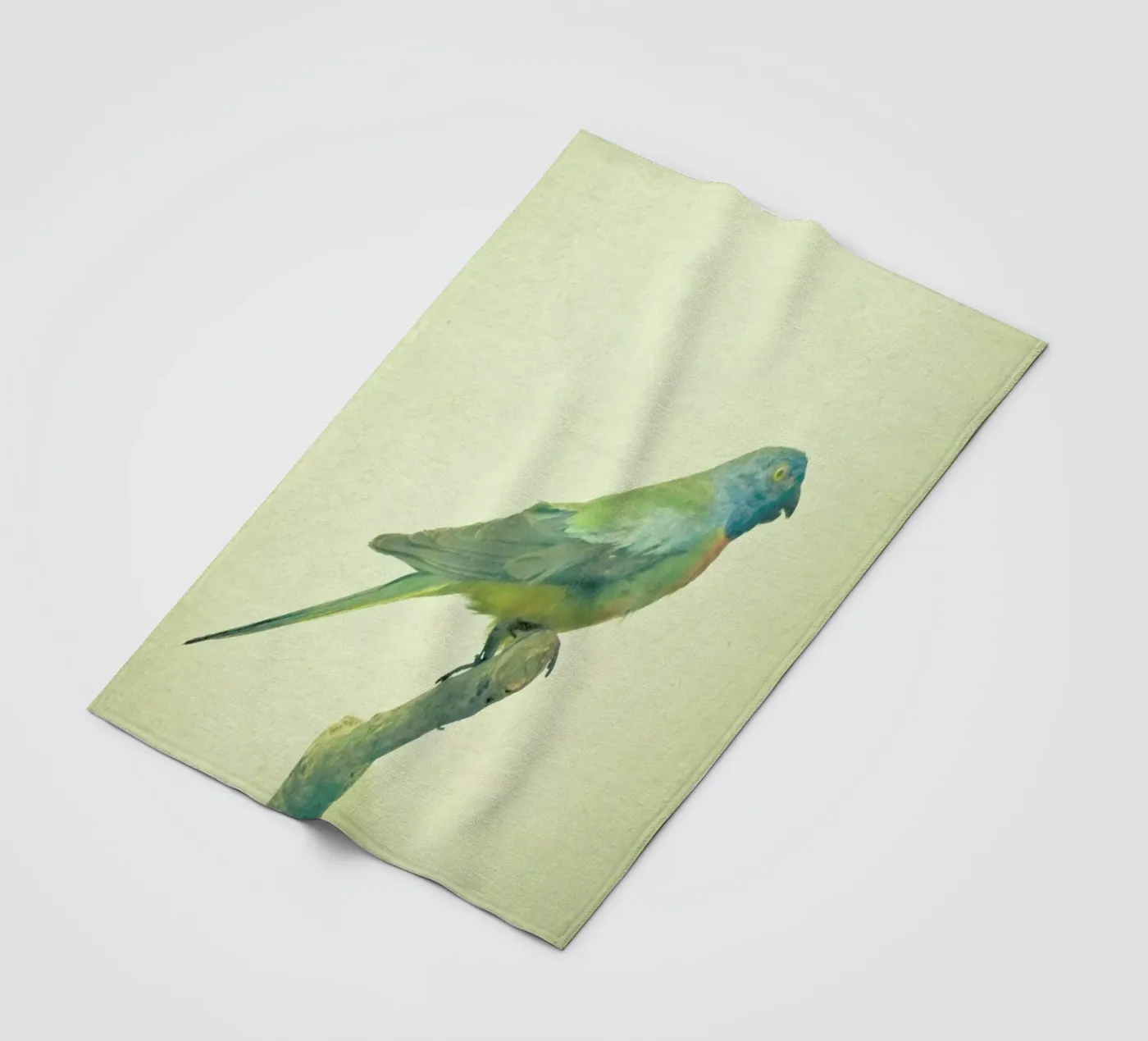 Bird study #3 fleece blanket by Cassia Beck Photography