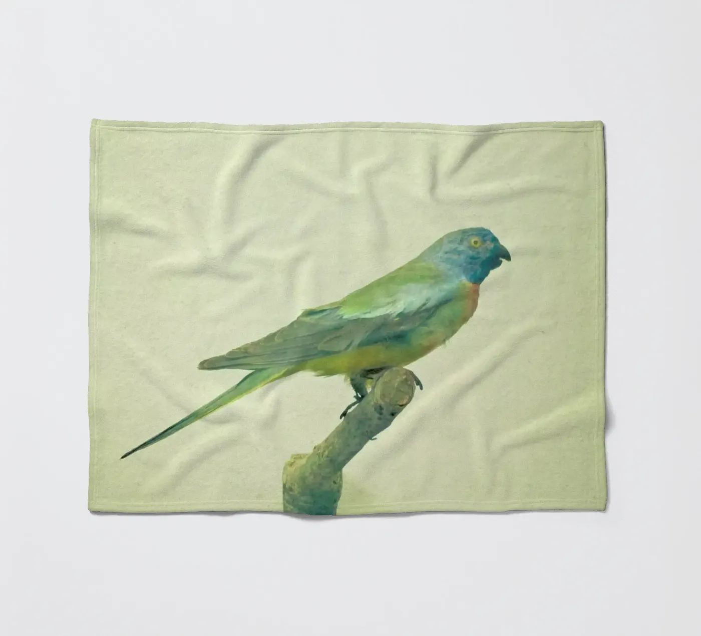 Bird study #3 fleece blanket by Cassia Beck Photography