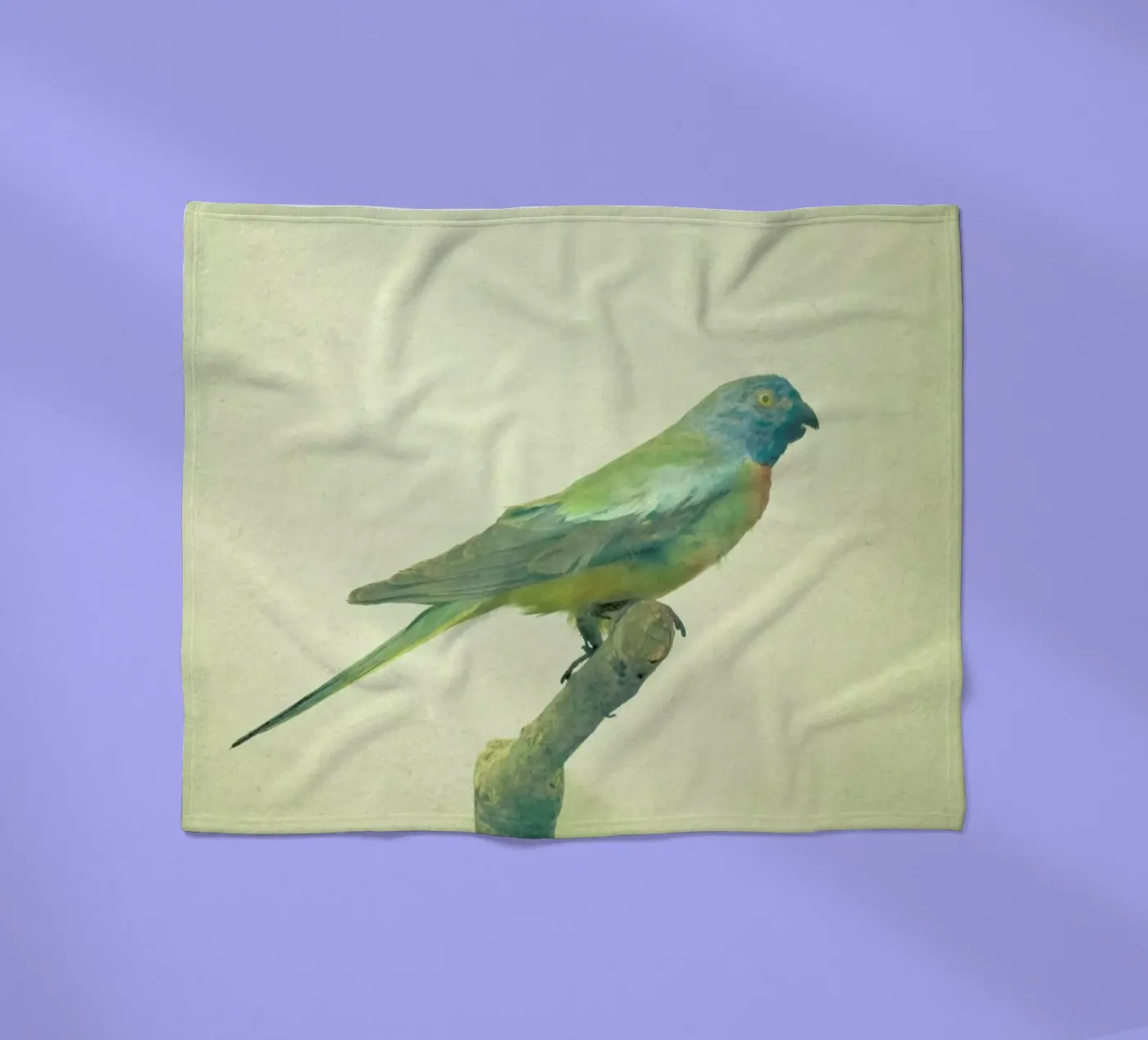 Bird study #3 fleece blanket by Cassia Beck Photography