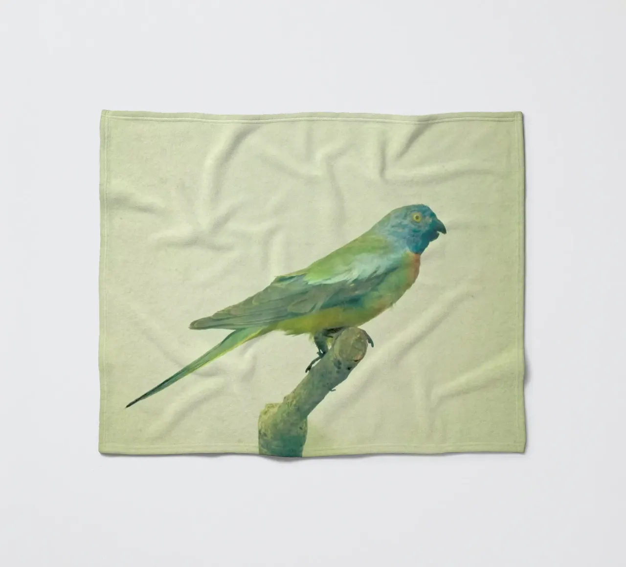 Studio degli uccelli #3 coperta in pile da Cassia Beck Photography