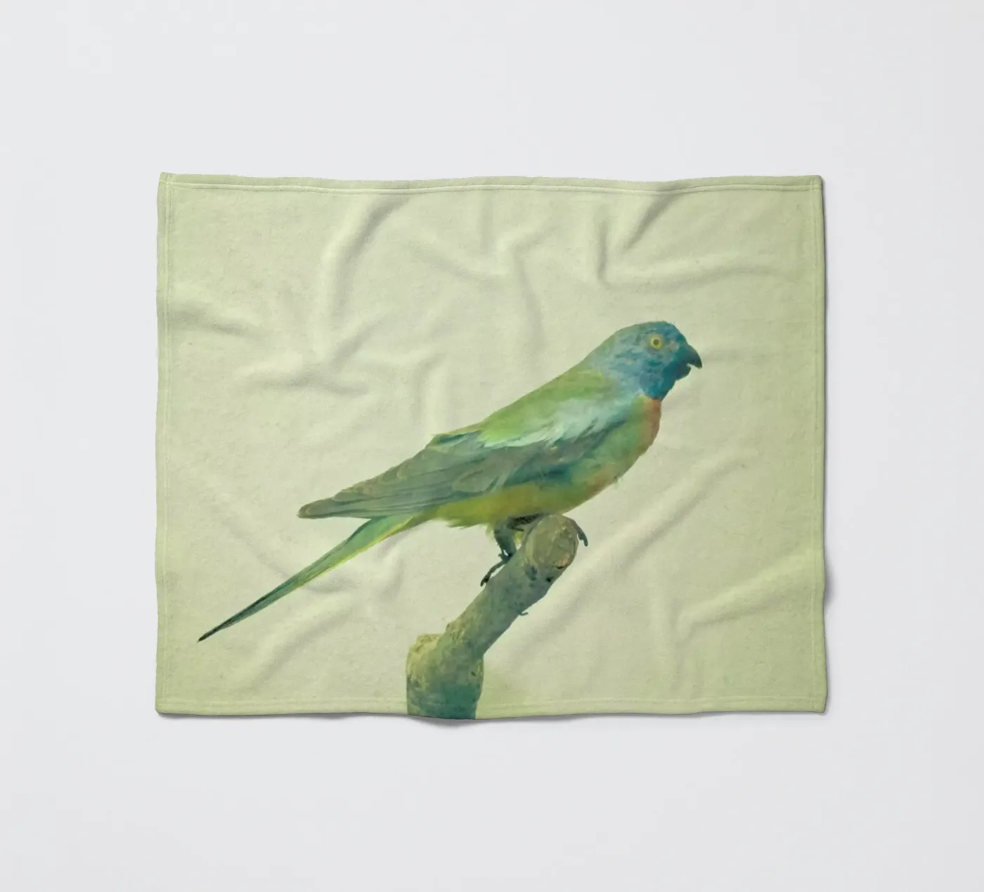 Bird study #3 fleece blanket by Cassia Beck Photography