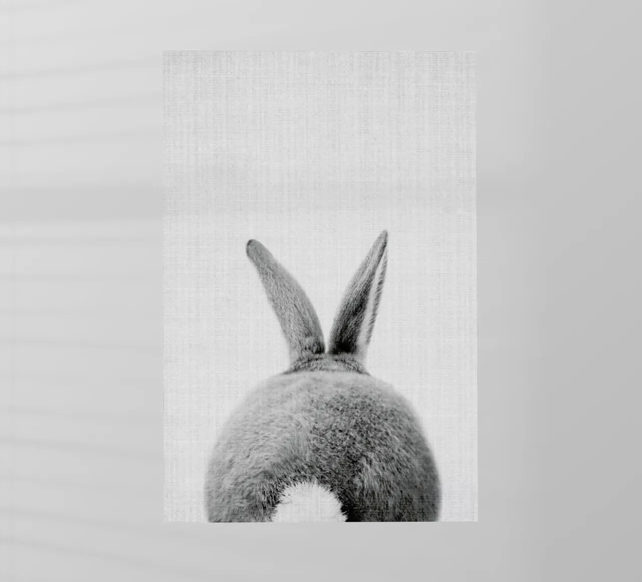 Print 65 backlit film by Lila x Lola