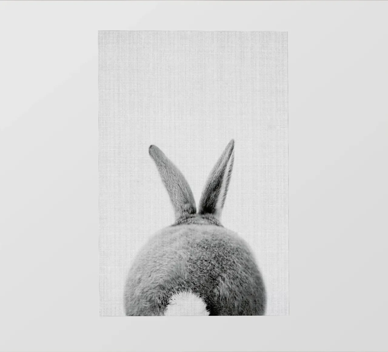 Print 65 backlit film by Lila x Lola