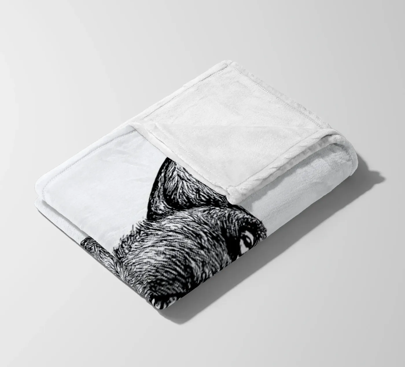 Celestial Fox coperta in pile da Daniela Roessler